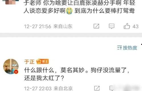 真实爆料张凌赫视频播放,真实事件背后的惊人真相